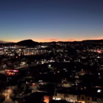 WhatsApp Image 2026-02-03 at 9.50.00 AM