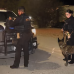 WhatsApp Image 2026-02-04 at 11.42.14 AM