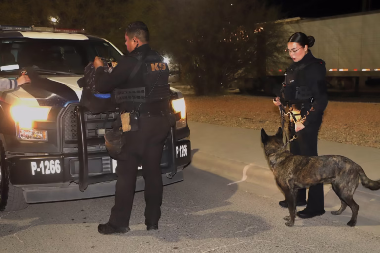 WhatsApp Image 2026-02-04 at 11.42.14 AM