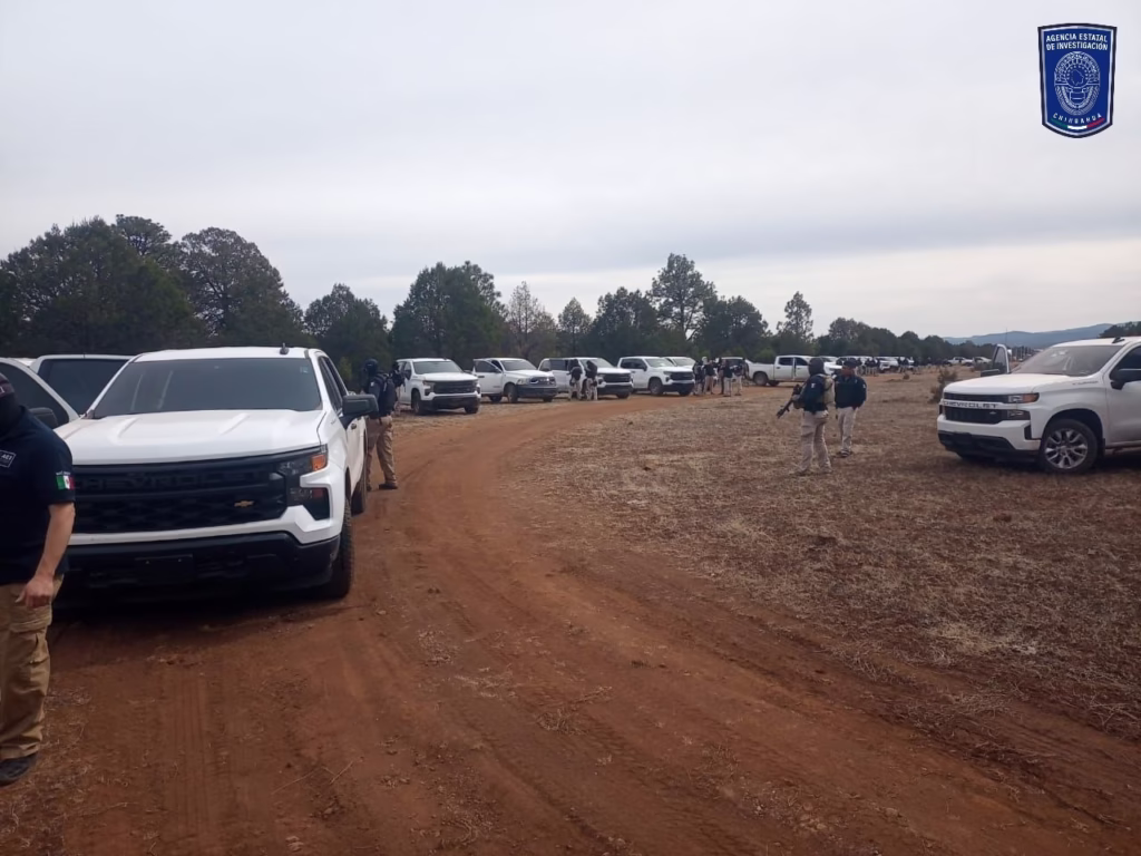 WhatsApp Image 2026-02-04 at 12.18.26