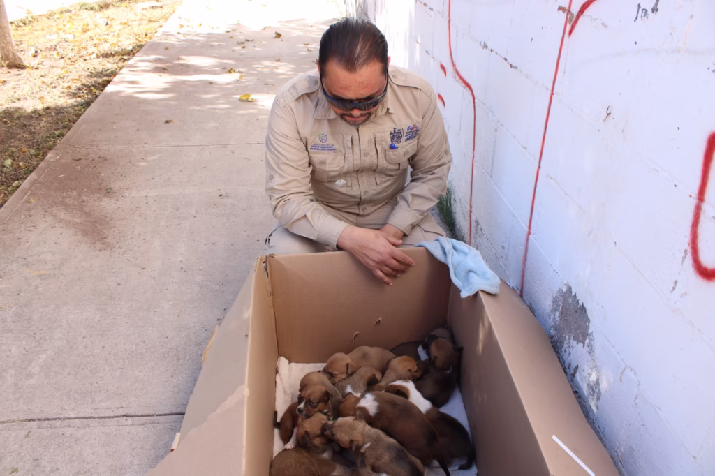 WhatsApp Image 2026-02-04 at 2.30.06 PM (1)