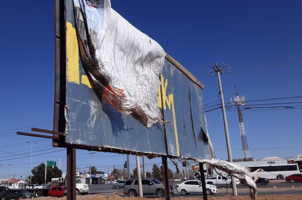 WhatsApp Image 2026-02-10 at 11.16.08 AM (1)