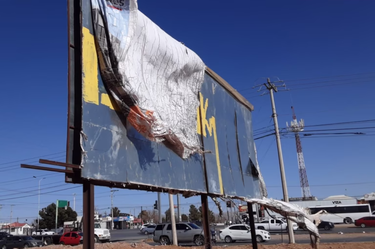 WhatsApp Image 2026-02-10 at 11.16.08 AM (1)