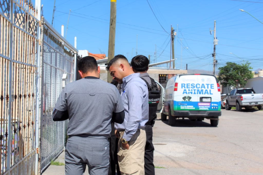 WhatsApp Image 2026-02-10 at 2.08.50 PM