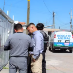 WhatsApp Image 2026-02-10 at 2.08.50 PM