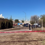 WhatsApp Image 2026-02-11 at 12.40.29 PM