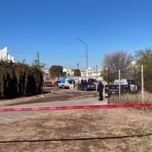 WhatsApp Image 2026-02-11 at 12.40.29 PM