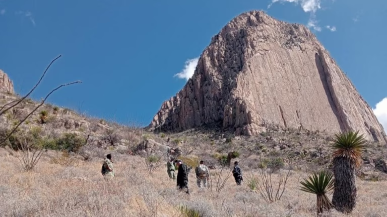 WhatsApp Image 2026-02-11 at 15.08.52