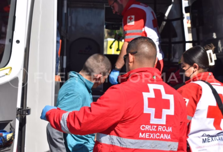 WhatsApp Image 2026-02-11 at 15.54.06