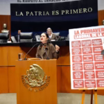 WhatsApp Image 2026-02-11 at 19.22.11