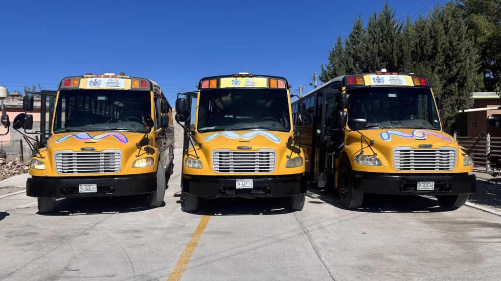 WhatsApp Image 2026-02-12 at 10.36.44 AM (1)