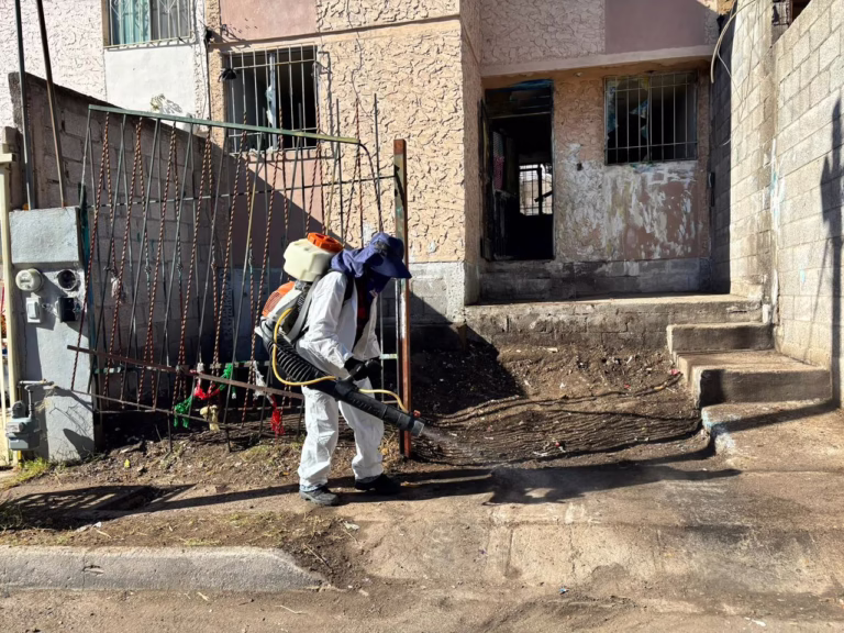 WhatsApp Image 2026-02-12 at 11.10.42 AM