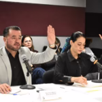 WhatsApp Image 2026-02-12 at 13.34.06