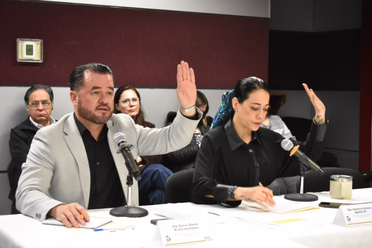 WhatsApp Image 2026-02-12 at 13.34.06