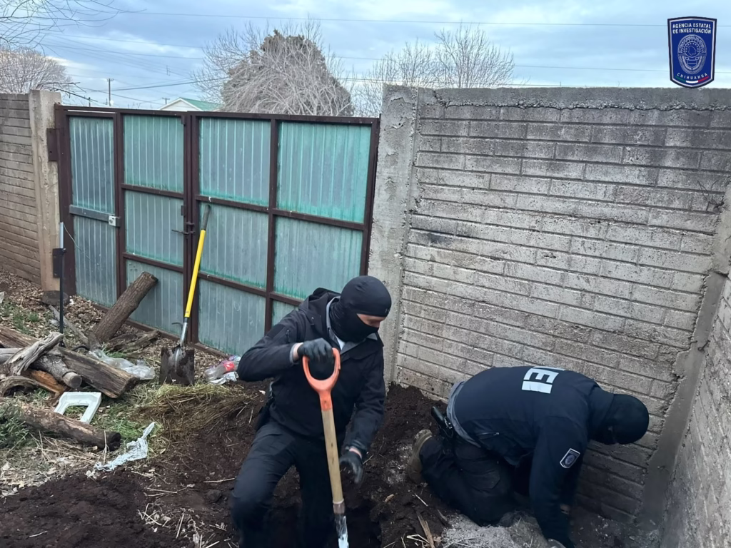 WhatsApp Image 2026-02-12 at 14.28.24