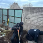 WhatsApp Image 2026-02-12 at 14.28.24