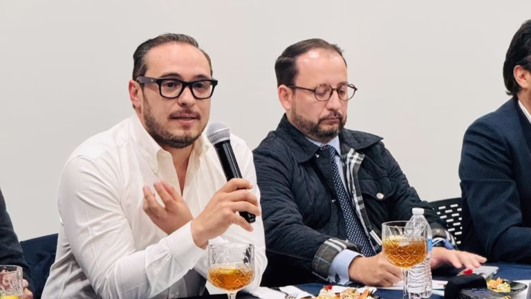 WhatsApp Image 2026-02-12 at 14.36.20