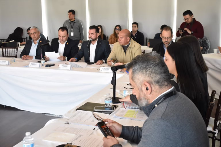 WhatsApp Image 2026-02-13 at 10.31.04