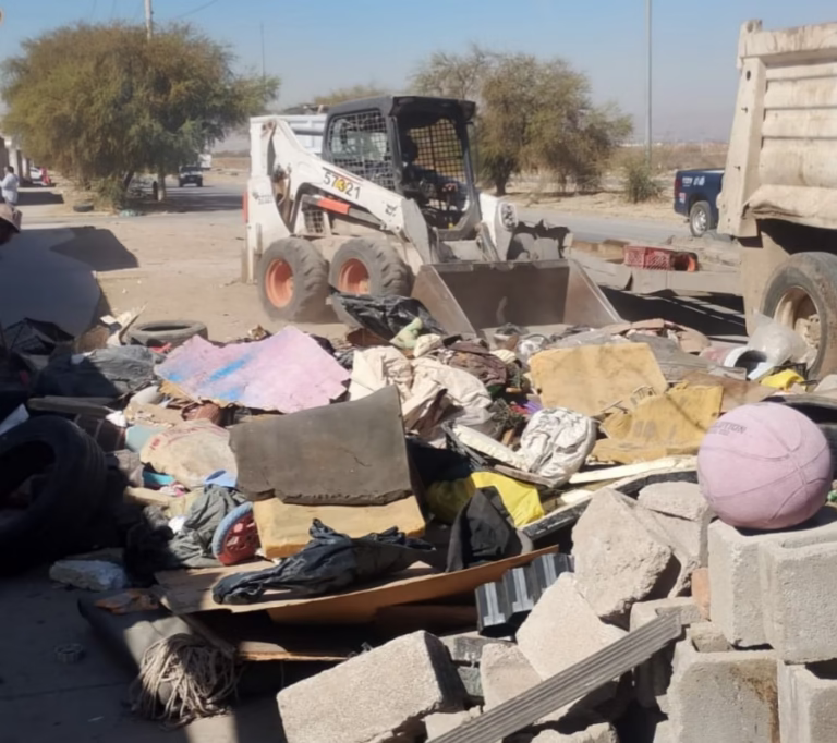 WhatsApp Image 2026-02-13 at 10.56.05 AM (1)