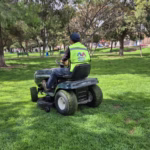 WhatsApp Image 2026-02-14 at 11.41.36 AM