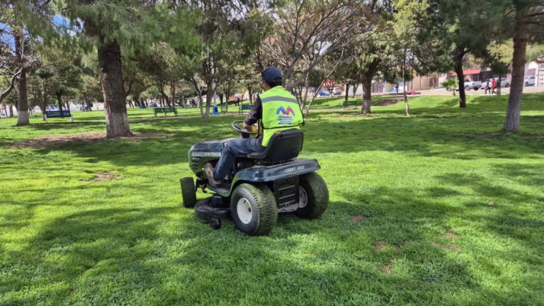 WhatsApp Image 2026-02-14 at 11.41.36 AM