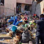 WhatsApp Image 2026-02-17 at 2.27.31 PM (1)