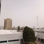 WhatsApp Image 2026-02-18 at 11.31.37 AM