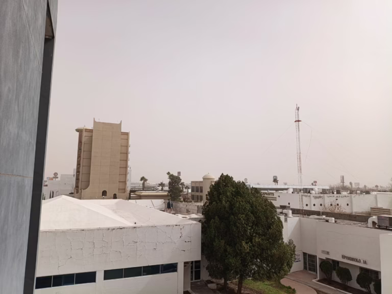 WhatsApp Image 2026-02-18 at 11.31.37 AM