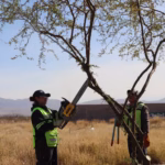 WhatsApp Image 2026-02-19 at 10.04.06 AM