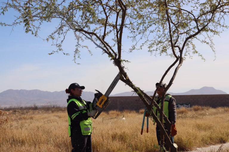 WhatsApp Image 2026-02-19 at 10.04.06 AM