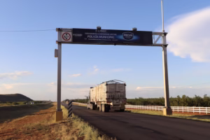 WhatsApp Image 2026-02-19 at 11.17.12 AM