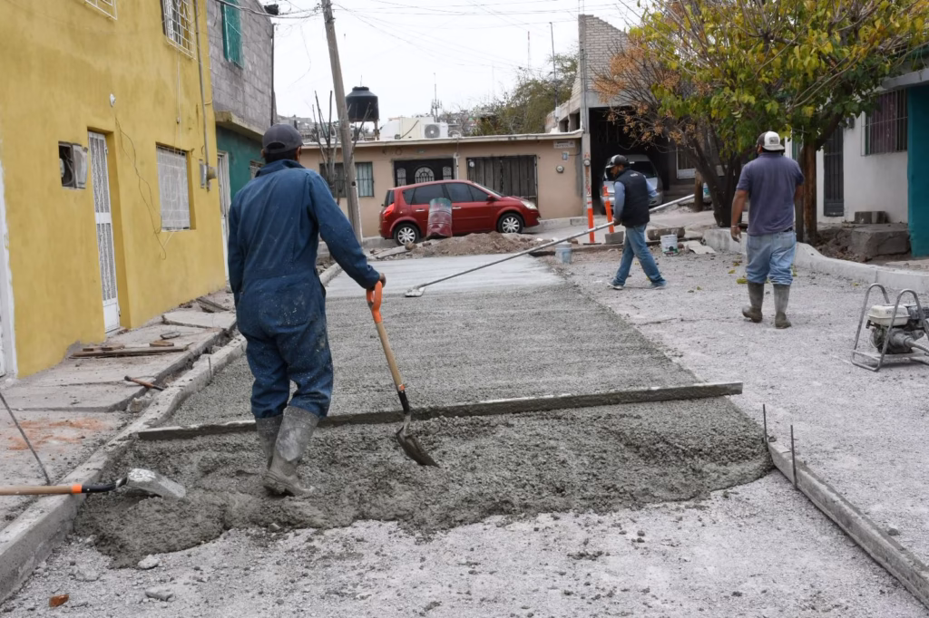 WhatsApp Image 2026-02-19 at 12.03.42 PM (1)