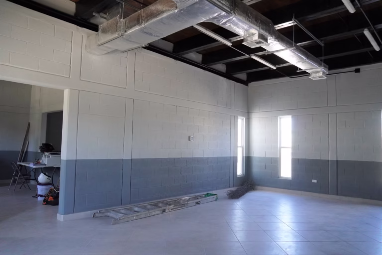 WhatsApp Image 2026-02-19 at 12.15.28 PM