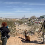 WhatsApp Image 2026-02-19 at 8.26.12 PM