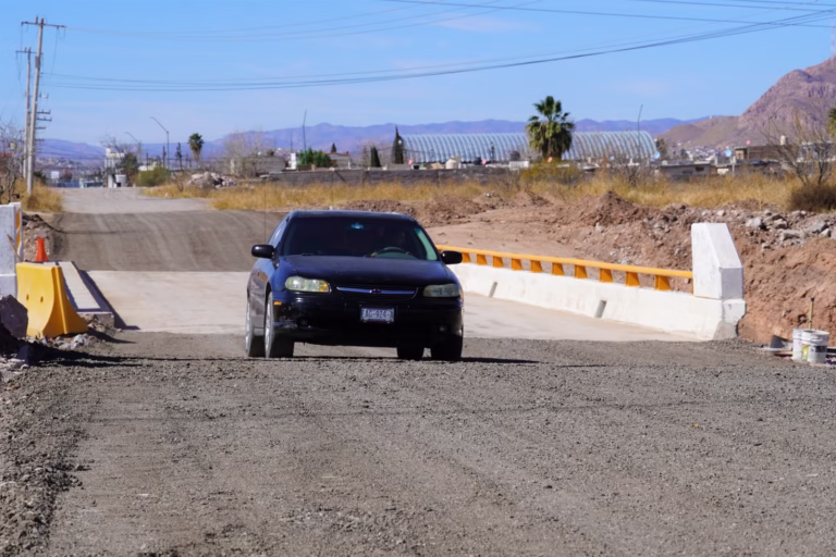 WhatsApp Image 2026-02-20 at 1.29.58 PM (2)