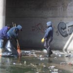 WhatsApp Image 2026-02-24 at 11.54.42 AM (1)