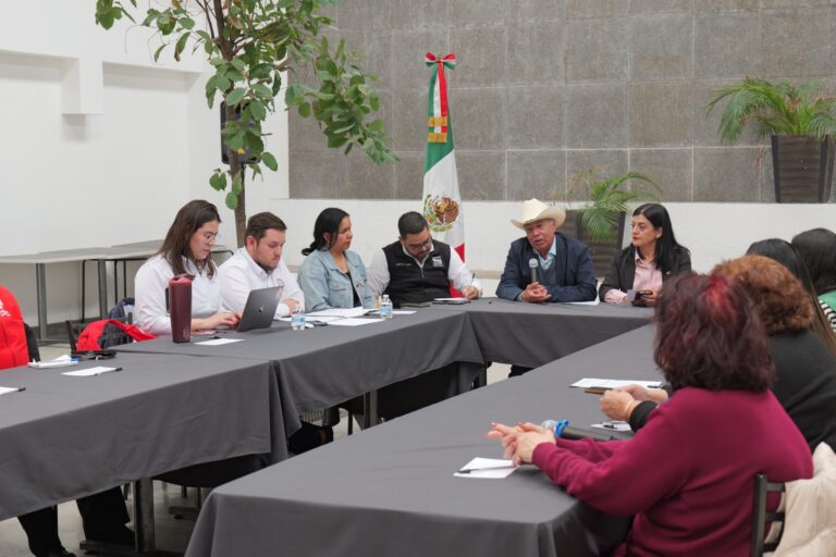 WhatsApp Image 2026-02-25 at 11.56.35