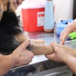 WhatsApp Image 2026-02-26 at 1.29.27 PM (5)