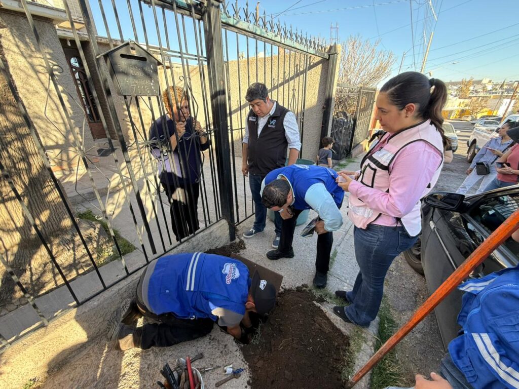 WhatsApp Image 2026-02-27 at 12.00.23