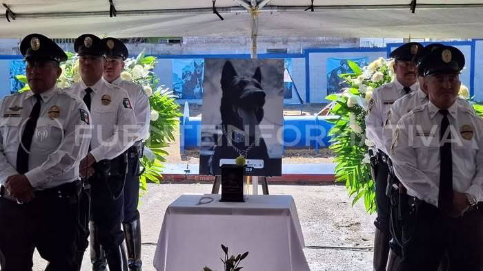 mini_magick20260211-26658-4dkmbv