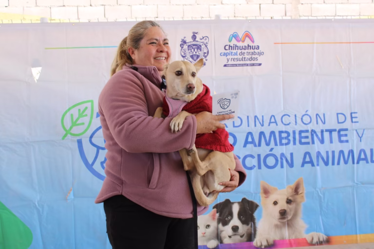 rescate animal vacunas mascotas municipio (1)