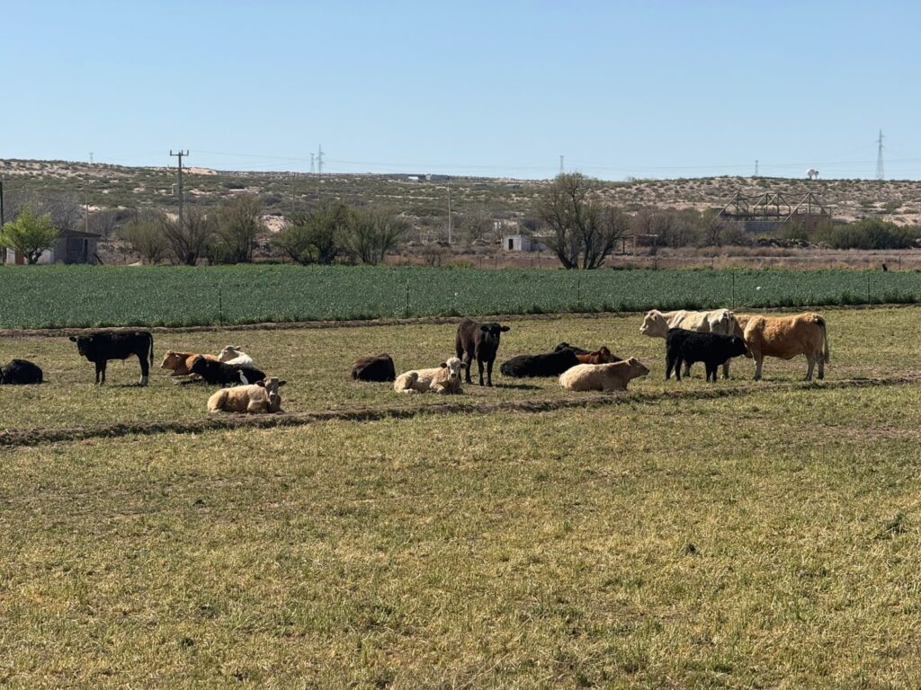 69c41ecd7e580__69c41ecd7e582