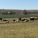 69c41ecd7e580__69c41ecd7e582