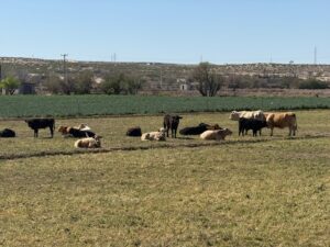 69c41ecd7e580__69c41ecd7e582