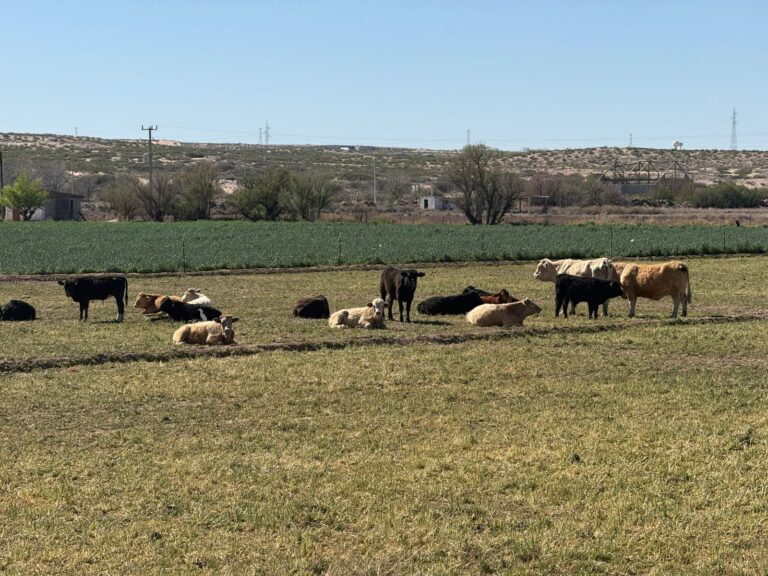 69c41ecd7e580__69c41ecd7e582