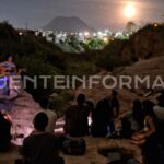 Diseño sin título (15)