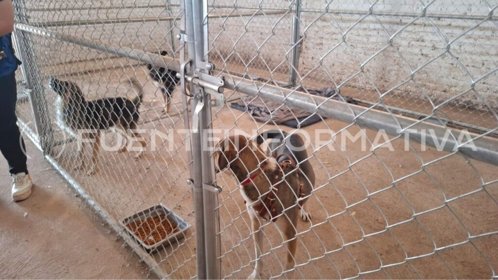 Diseno-sin-titulo-15-2-1536x864