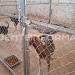 Diseno-sin-titulo-15-2-1536x864