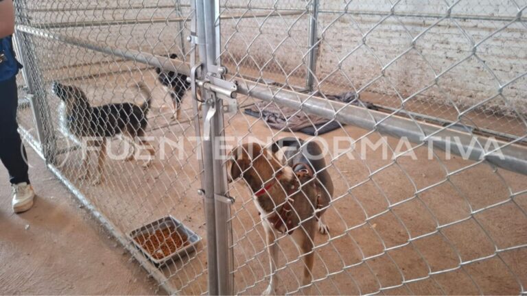 Diseno-sin-titulo-15-2-1536x864