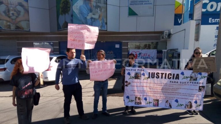 Diseño sin título (82)